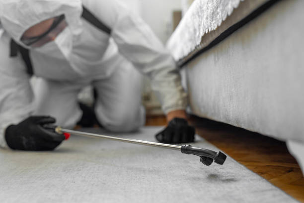 Professional Cockroach Control technician working in Leoti, KS